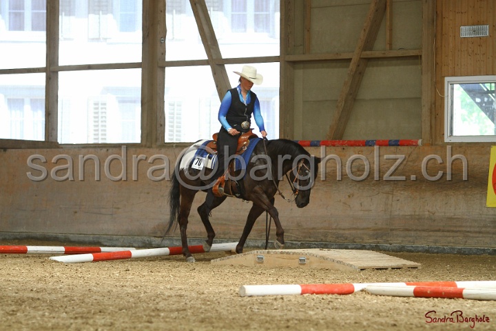 26-ApHC GT_140.jpg